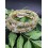 Zircon kada for Women and Girls Pack of 2 size 2.6